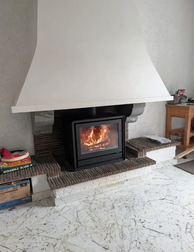 Insert à bois Stovax Riva2 66